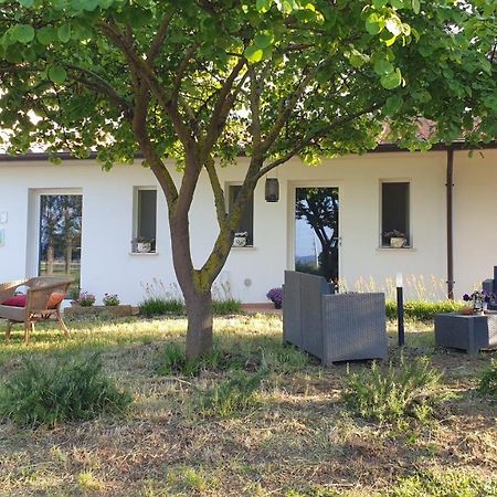 Agriturismo Podere Il Fitto Campiglia Marittima Kültér fotó